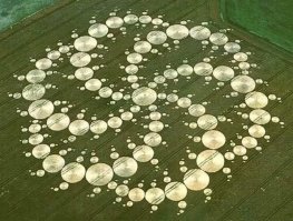 Внимание вопрос !
Сколько нужно добровольцев чтобы протоптать такой рисунок за одну ночь  и не оставить никаких следов ?