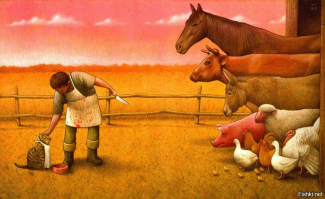 Понимаю конину едят, вот про ослятину не слышал.