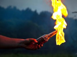 История одного газона в Санкт-Петербурге