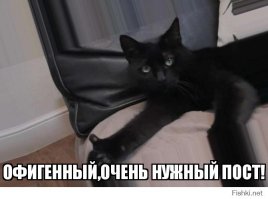 Парень собирает деньги, чтобы справиться с последствиями свидания, превратившегося в кошмар