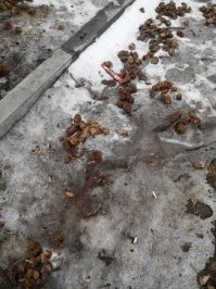 не забудьте