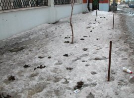 не забудьте