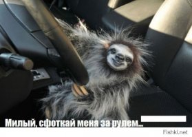 Смешные комментарии и высказывания из социальных сетей