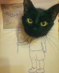 Пятничный позитив. Очередная порция картинок с подписями