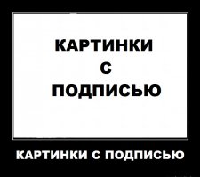 тупее фоток только подписи к ним