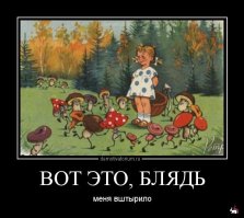 Грибы больше не собираю