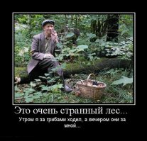 Грибы больше не собираю