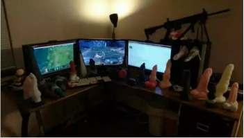 по моему это такие геймерши!