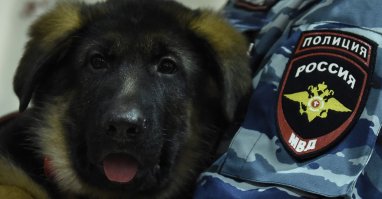 Че Добрыню забыли?