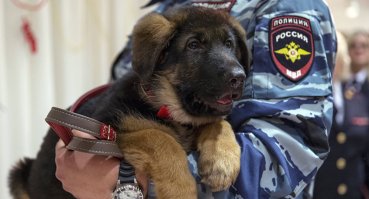 Че Добрыню забыли?