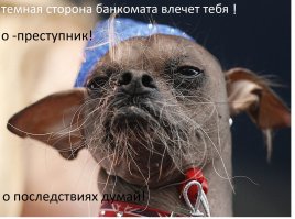 Инструкция по ночному походу в банкомат: смотрите и запоминайте!