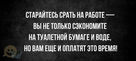 Хйуня, у нас на работе нет бумаги в туалете, а если больше 10 минут там сидишь - штрафуют. Вывод - сри в мусорное ведро (чтобы воду не тратить на смыв), а жёппу вытирай половиной пакета из пятерочки.