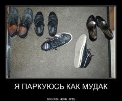 Быдлопаркованы, или Я паркуюсь как олень