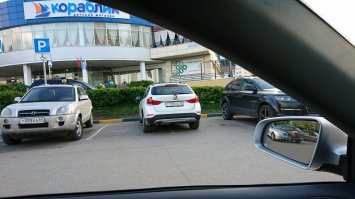 Быдлопаркованы, или Я паркуюсь как олень