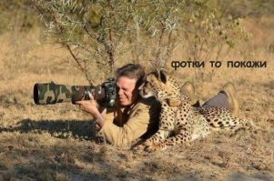 17 фото животных, сделанных в самый нужный момент