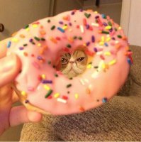 Подборка прикольных картинок