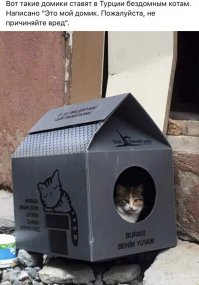 Домики для кошки из картона