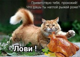 Я не жадный.