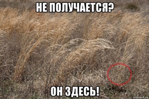 Ядовитая змея из Австралии, которую трудно заметить