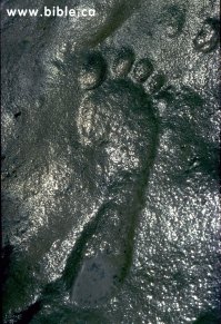 Нью-Мексика