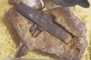 Ученые выявили: Homo sapiens появились раньше, чем считалось