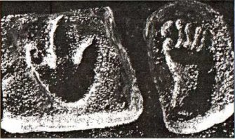 Отпечатки следов динозавра и человека в меловых отложениях реки Пелакси, Техас, США.