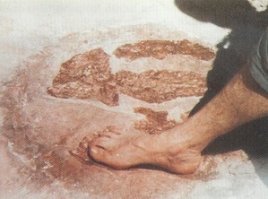 Ученые выявили: Homo sapiens появились раньше, чем считалось