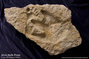 Ученые выявили: Homo sapiens появились раньше, чем считалось