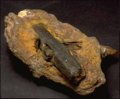 Ученые выявили: Homo sapiens появились раньше, чем считалось