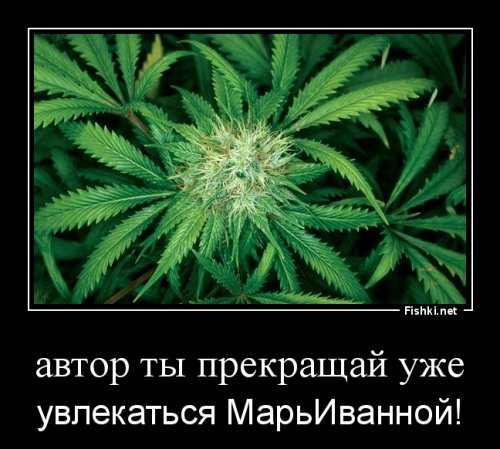 Две звезды, две разных подписи