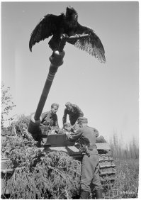 Отдельно следует упомянуть Штуги финской армии. Примечательно, что 8 из 10-ти финляндских танковых асов воевали именно на StuG III.