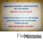 особенно если ты мертвый кит ...