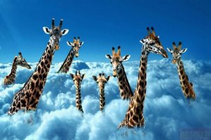 Аффтар, старт продаж Xiaomi Mi4 был 22 июля 2014 года. 


Даже для эстонского ньюсмейкера ты тормоз!
Кроме того дико наврал про железо. Проц 801, а не 808-й.
В марте 2017-го уже вышел Xiaomi Mi6...