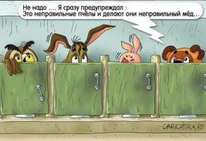 Дядя Вова и неправильные пчёлы