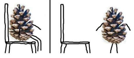 С днем рождения, Моника!