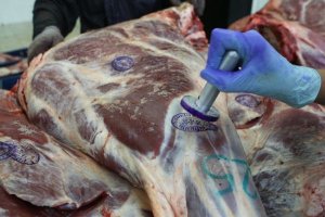 Международный фестиваль татуировок в Лондоне