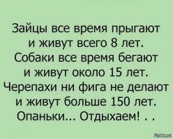 Самый мотивирующий пост на Фишках