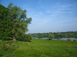Гороховец Владимирская область