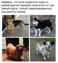 Свежая подборка демотиваторов, которые поднимут вам настроение
