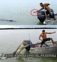 17 фото животных, сделанных в самый нужный момент