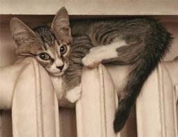 Ребристая, теплая, моя