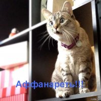 Женщины в душе обожают морковку