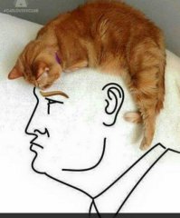 Фотоподборка за 02.10.2017