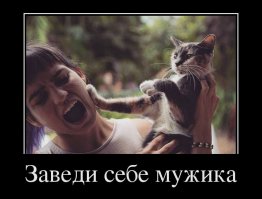 А мужиков теперь ЗАВОДЯТ?Так же,как кота или хомячка?