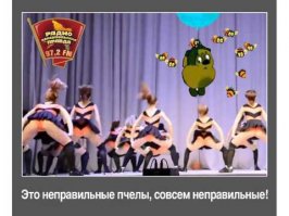 Дядя Вова и неправильные пчёлы