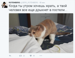 Очередная порция картинок с подписями