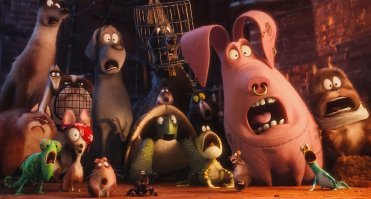 поддерживаем