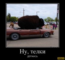 Подборка автомобильных приколов