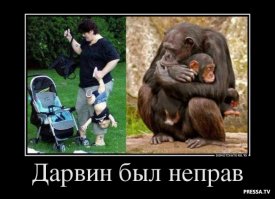 Мама — это вам не папа! С мамой можно ещё круче