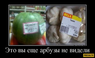 Мичуринские полигоны по созданию  новых продуктов